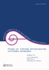 Finite or Infinite Dimensional Complex Analysis - eBook