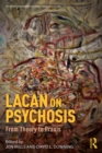 Lacan on Psychosis : From Theory to Praxis - eBook