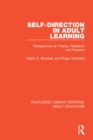 Self-direction in Adult Learning : Perspectives on Theory, Research and Practice - eBook