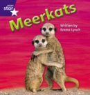 Star Phonics: Meerkats (Phase 5) - Book