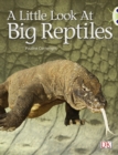 Bug Club Guided Non Fiction Year 1 Blue B A Little Look at Big Reptiles - Book