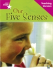 Rigby Star Non-fiction Guided Reading Pink Level: Our Five Senses Teaching Version - Book