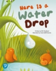 Bug Club Shared Reading: Here is a Water Drop (Year 2) - Book