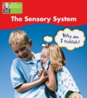 PYP L4 Sensory System 6PK - Book