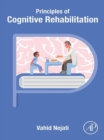 Principles of Cognitive Rehabilitation - eBook