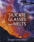 Silicate Glasses and Melts - eBook