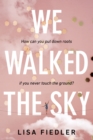 We Walked the Sky - eBook