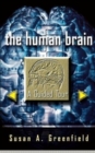 The Human Brain : A Guided Tour - Book