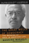 The Great Wells Of Democracy : The Meaning Of Race In American Life - Book
