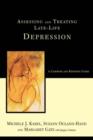 Assessing And Treating Late-life Depression: A Casebook And Resource Guide - Book
