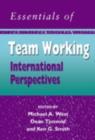 The Essentials of Teamworking : International Perspectives - eBook