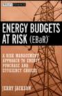 Energy Budgets at Risk (EBaR) : A Risk Management Approach to Energy Purchase and Efficiency Choices - eBook