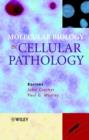 Molecular Biology in Cellular Pathology - eBook