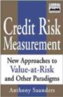 Credit Risk Measurement : New Approaches to Value at Risk and Other Paradigms - eBook