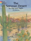 Sonoran Desert by Day and Night - Book