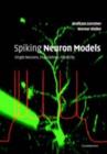 Spiking Neuron Models : Single Neurons, Populations, Plasticity - eBook