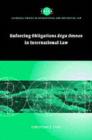 Enforcing Obligations Erga Omnes in International Law - eBook