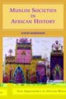 Muslim Societies in African History - eBook