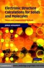 Electronic Structure Calculations for Solids and Molecules : Theory and Computational Methods - eBook