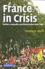France in Crisis : Welfare, Inequality, and Globalization since 1980 - eBook