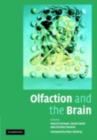 Olfaction and the Brain - eBook