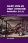 Gender, Work and Wages in Industrial Revolution Britain - eBook