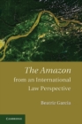 Amazon from an International Law Perspective - eBook