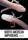 North American Amphibians : Distribution and Diversity - Book
