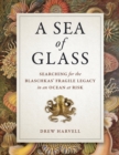 A Sea of Glass : Searching for the Blaschkas' Fragile Legacy in an Ocean at Risk - Book