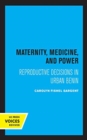 Maternity, Medicine, and Power : Reproductive Decisions in Urban Benin - Book