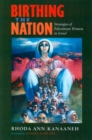 Birthing the Nation : Strategies of Palestinian Women in Israel - eBook