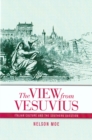 The View from Vesuvius : Italian Culture and the Southern Question - eBook