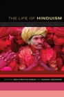 The Life of Hinduism - eBook