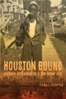 Houston Bound : Culture and Color in a Jim Crow City - eBook
