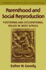 Parenthood and Social Reproduction : Fostering and Occupational Roles in West Africa - Book