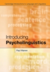 Introducing Psycholinguistics - Book