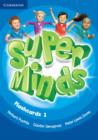 Super Minds Level 1 Flashcards (Pack of 103) - Book