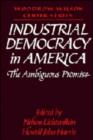 Industrial Democracy in America : The Ambiguous Promise - Book