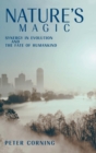 Nature's Magic : Synergy in Evolution and the Fate of Humankind - Book