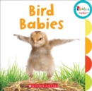 Bird Babies (Rookie Toddler) - Book