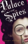 Palace of Spies - eBook