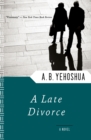 A Late Divorce : A Novel - eBook