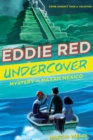 Eddie Red Undercover: Mystery in Mayan Mexico - eBook