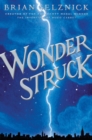 Wonderstruck - Book