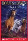 Star Rise - eBook