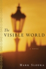 The Visible World : A Novel - eBook