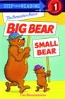 The Berenstain Bears' Big Bear, Small Bear - eBook