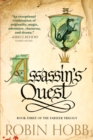 Assassin's Quest - eBook