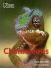 Chameleons - Book