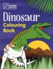 Dinosaur Colouring Book - Book